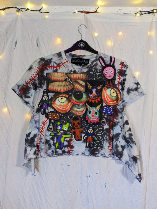 CHAOS Crop S